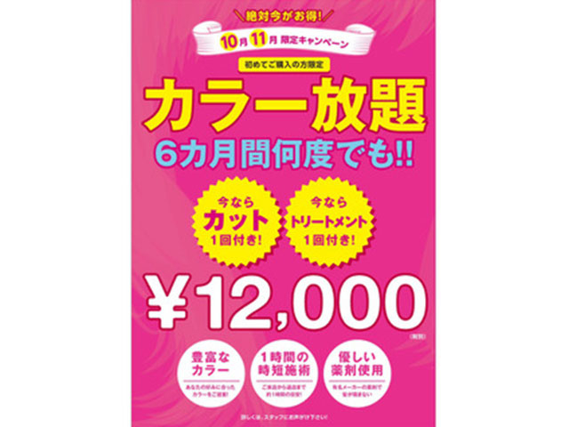 カラー染め放題定額6ヶ月