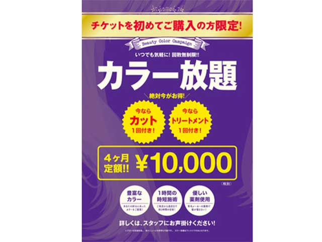 【定額制】染め放題パスポート