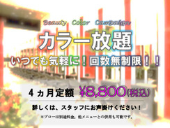 カラー染め放題チケット☆