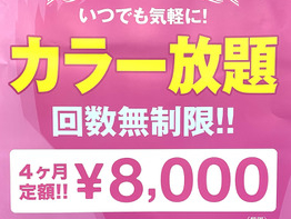 大人気　4ヶ月カラー染め放題　8800円